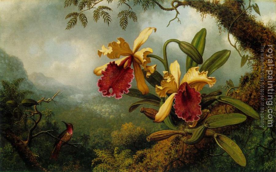 Martin Johnson Heade : Orchids and Hummingbird